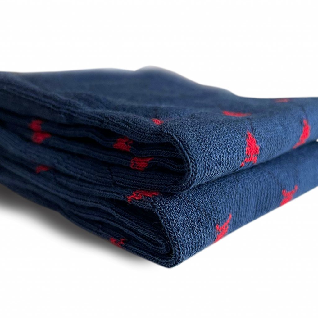 Pamučne čarape plave REDFIR