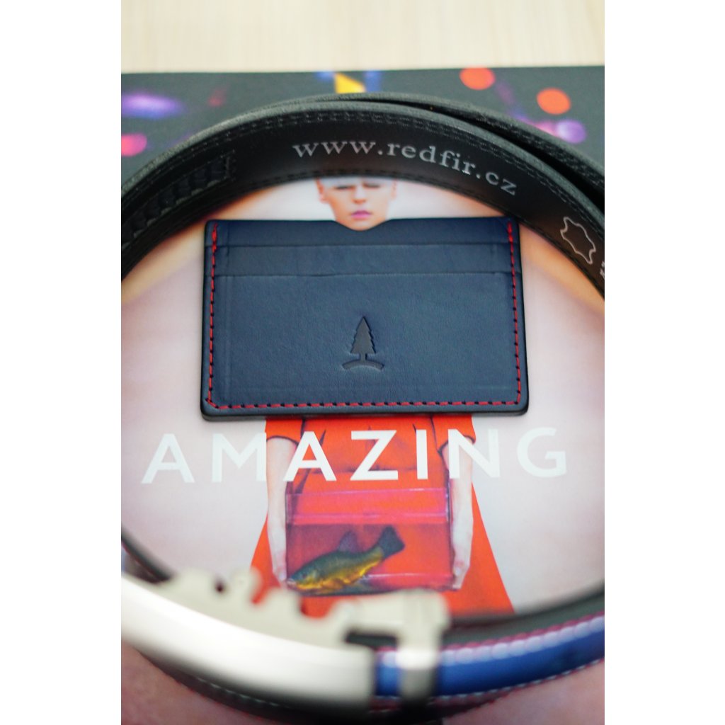 Kožené pouzdro na karty a bankovky Unique