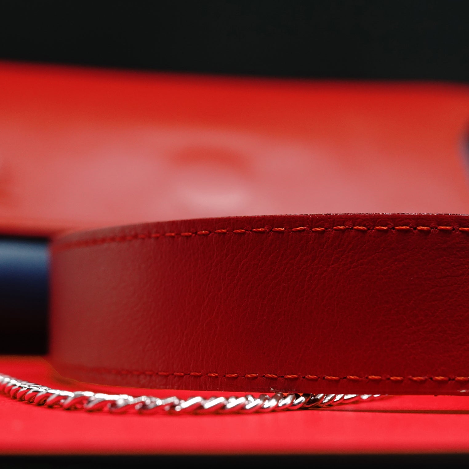 Ženska kožna torba R&B